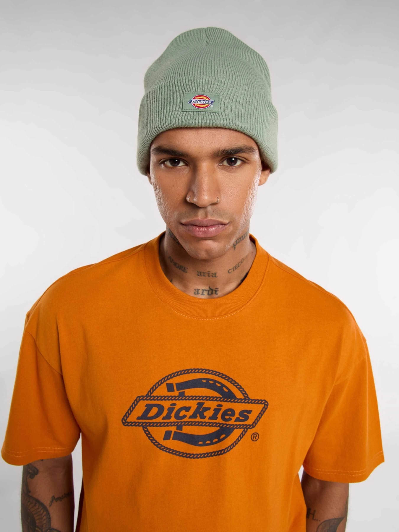 Шапки та кепки Dickies Gibsland модель DK0A4X7KL191 Фото
