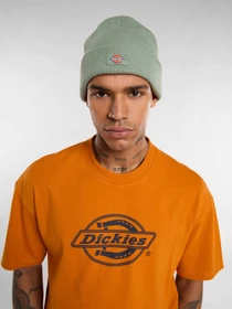 Шапки та кепки Dickies Gibsland модель DK0A4X7KL191 Фото
