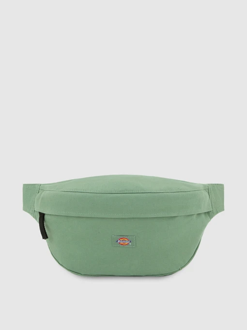 Сумки Dickies Duck 3.5 L модель DK0A4XOYL191 Фото