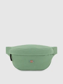 Сумки Dickies Duck 3.5 L модель DK0A4XOYL191 Фото