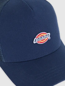 Шапки та кепки Dickies HANSTON модель DK0A4YV3L181 Фото