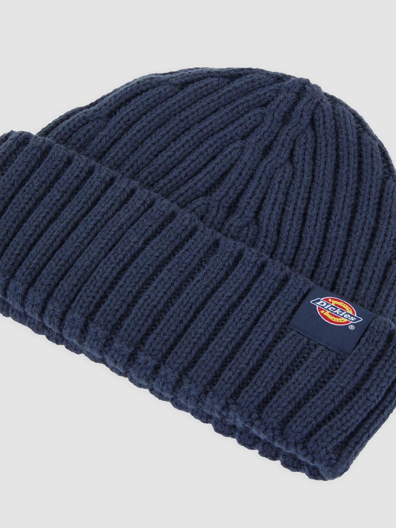 Шапки и кепки Dickies модель DK0A4Z2OCT91 Шапки и кепки Dickies модель DK0A4Z2OCT91 Фото