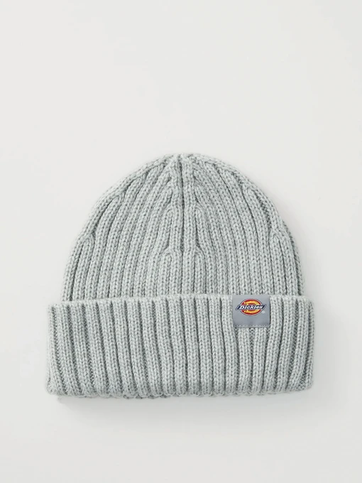 Шапки и кепки Dickies LOCKWOOD BEANIE модель DK0A4Z2OGYM1 Фото