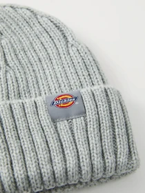 Шапки и кепки Dickies LOCKWOOD BEANIE модель DK0A4Z2OGYM1 Фото