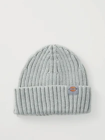 Шапки и кепки Dickies LOCKWOOD BEANIE модель DK0A4Z2OGYM1 Фото
