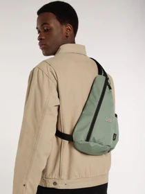 Сумки Dickies Ashville модель DK0A4Z3IL191 Фото