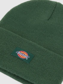 Шапки и кепки Dickies модель DK0A4Z3RPIN1 Фото
