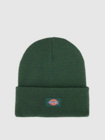Шапки и кепки Dickies модель DK0A4Z3RPIN1 Фото