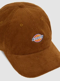 Шапки та кепки Dickies Hardwick Corduroy модель DK0A4ZAY0BD1 Фото