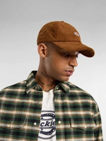 Шапки та кепки Dickies Hardwick Corduroy модель DK0A4ZAY0BD1 Фото