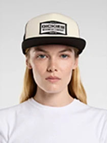Шапки та кепки Dickies Bolivar Trucker модель DK0A87NCBLK1 Фото