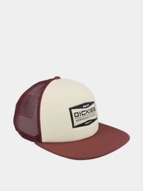 Шапки та кепки Dickies BOLIVAR модель DK0A87NCL161 Фото