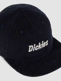 Шапки та кепки Dickies Williston модель DK0A87NEL181 Фото