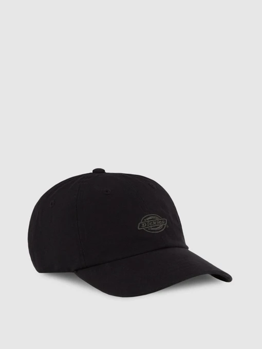 Шапки и кепки Dickies DUCK CANVAS DAD модель DK0A87NFBLK1 Фото