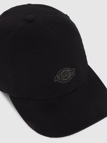 Шапки и кепки Dickies DUCK CANVAS DAD модель DK0A87NFBLK1 Фото