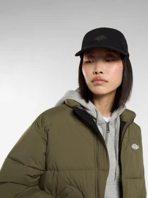 Шапки и кепки Dickies DUCK CANVAS DAD модель DK0A87NFBLK1 Фото