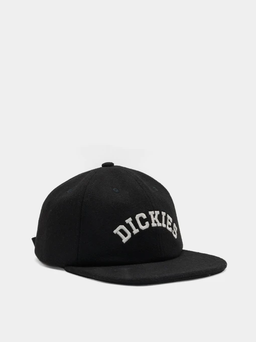 Шапки и кепки Dickies West Vale модель DK0A4YFZBLK1 Фото