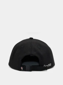 Шапки и кепки Dickies West Vale модель DK0A4YFZBLK1 Фото