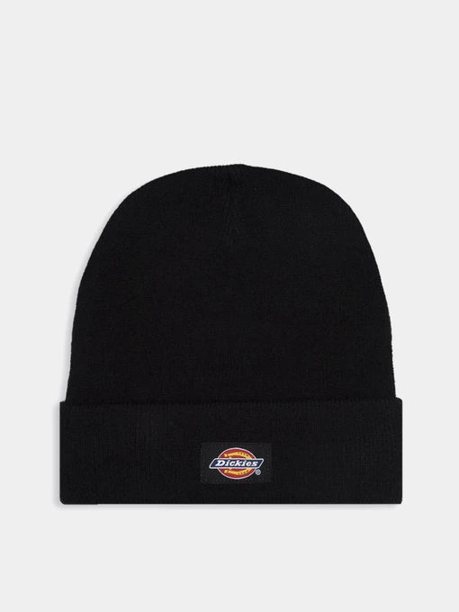 Шапки и кепки Dickies Gibsland модель DK0A4X7KBLK1 Фото