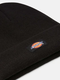 Шапки и кепки Dickies Gibsland модель DK0A4X7KBLK1 Фото