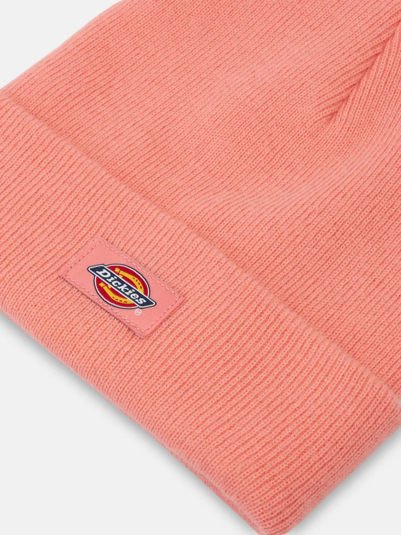 Шапки и кепки Dickies Gibsland модель DK0A4X7KG021 Шапки и кепки Dickies Gibsland модель DK0A4X7KG021 Фото