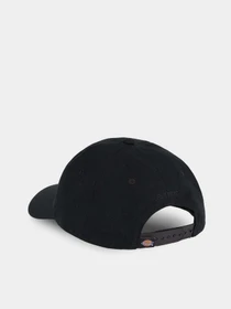 Шапки и кепки Dickies Hays модель DK0A4YHQBLK1 Фото