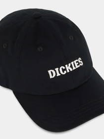 Шапки и кепки Dickies Hays модель DK0A4YHQBLK1 Фото