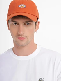 Шапки и кепки Dickies HARDWICK модель DK0A4TKVC051 Фото