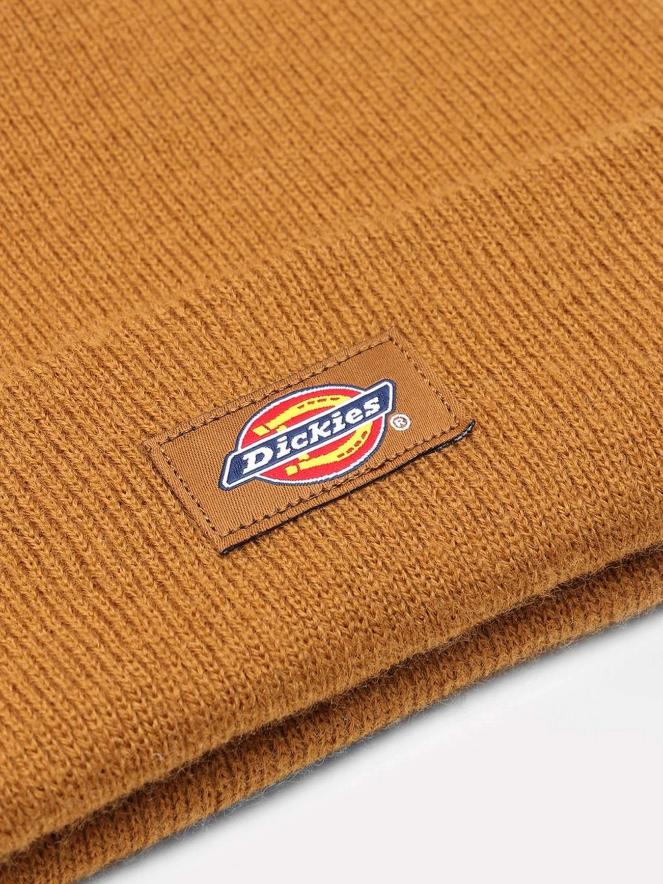 Шапки и кепки Dickies Gibsland модель DK0A4X7KBD01 Фото