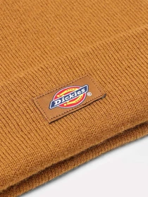 Шапки и кепки Dickies Gibsland модель DK0A4X7KBD01 Фото