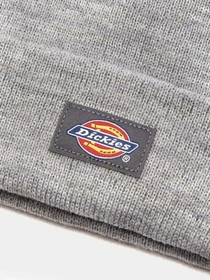 Шапки и кепки Dickies Gibsland модель DK0A4X7KGYM1 Фото