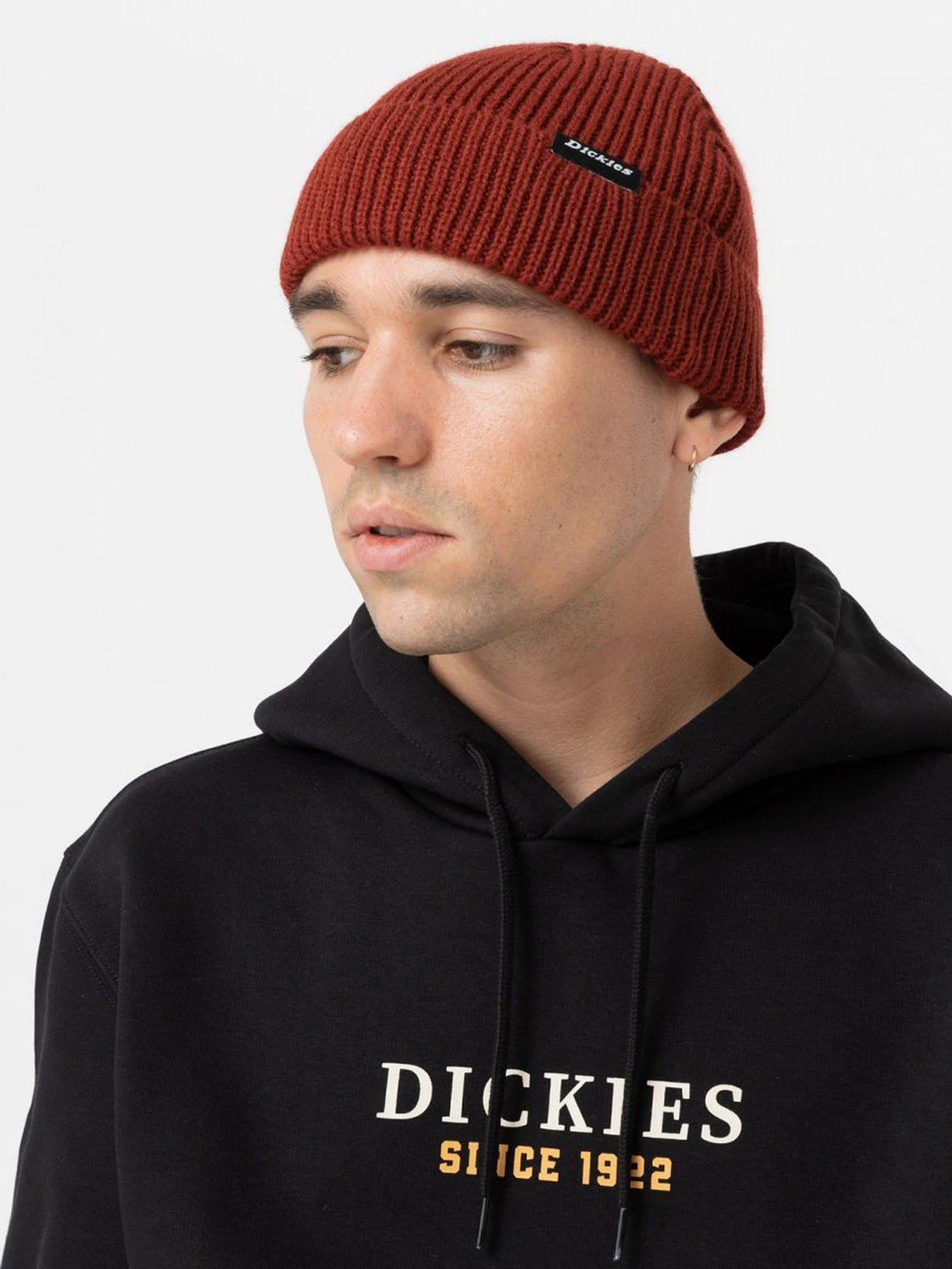 Шапки и кепки Dickies Woodworth Beanie модель DK0A4X7YG041 Фото