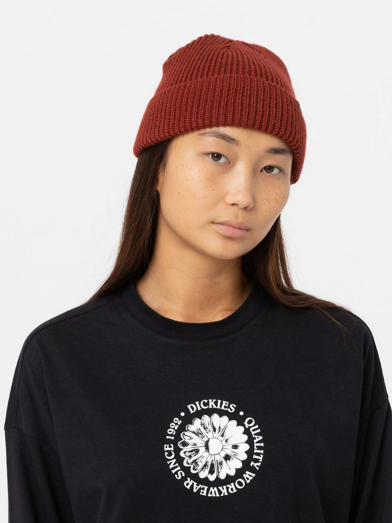 Шапки и кепки Dickies Woodworth Beanie модель DK0A4X7YG041 Фото