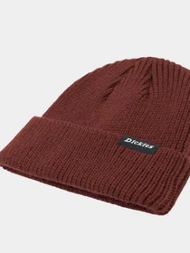 Шапки и кепки Dickies Woodworth Beanie модель DK0A4X7YG041 Фото