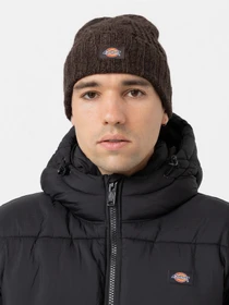 Шапки и кепки Dickies Hoxie Beanie модель DK0A4YHOD711 Фото