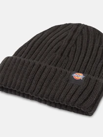 Шапки и кепки Dickies Garnett Fisherman Beanie модель DK0A4YHPBLK1 Фото