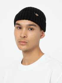 Шапки и кепки Dickies Garnett Fisherman Beanie модель DK0A4YHPBLK1 Фото