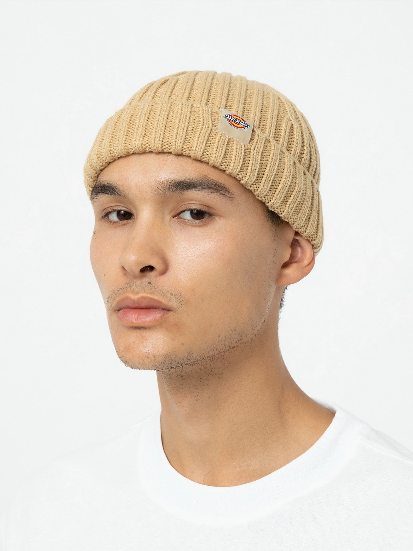 Шапки та кепки Dickies Garnett Fisherman Beanie модель DK0A4YHPF951 Шапки та кепки Dickies Garnett Fisherman Beanie модель DK0A4YHPF951 Фото