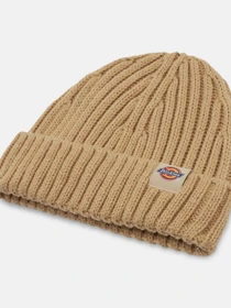 Шапки та кепки Dickies Garnett Fisherman Beanie модель DK0A4YHPF951 Фото