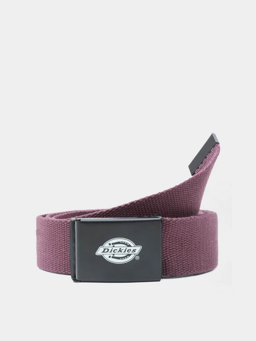 Ремни Dickies Orcutt модель DK0A4X7EMR01 Фото