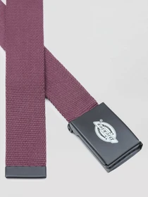 Ремни Dickies Orcutt модель DK0A4X7EMR01 Фото
