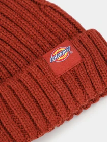 Шапки и кепки Dickies Garnett Fisherman Beanie модель DK0A4YHPG041 Фото