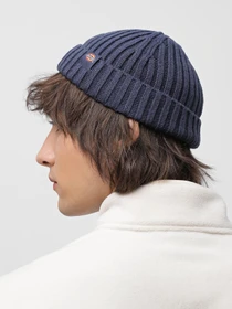 Шапки и кепки Dickies Garnett Fisherman Beanie модель DK0A4YHPNV01 Фото