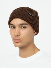 Шапки и кепки Dickies Woodworth Beanie модель DK0A4X7YD711 Фото