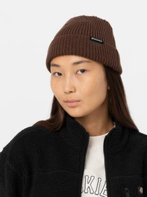 Шапки и кепки Dickies Woodworth Beanie модель DK0A4X7YD711 Фото