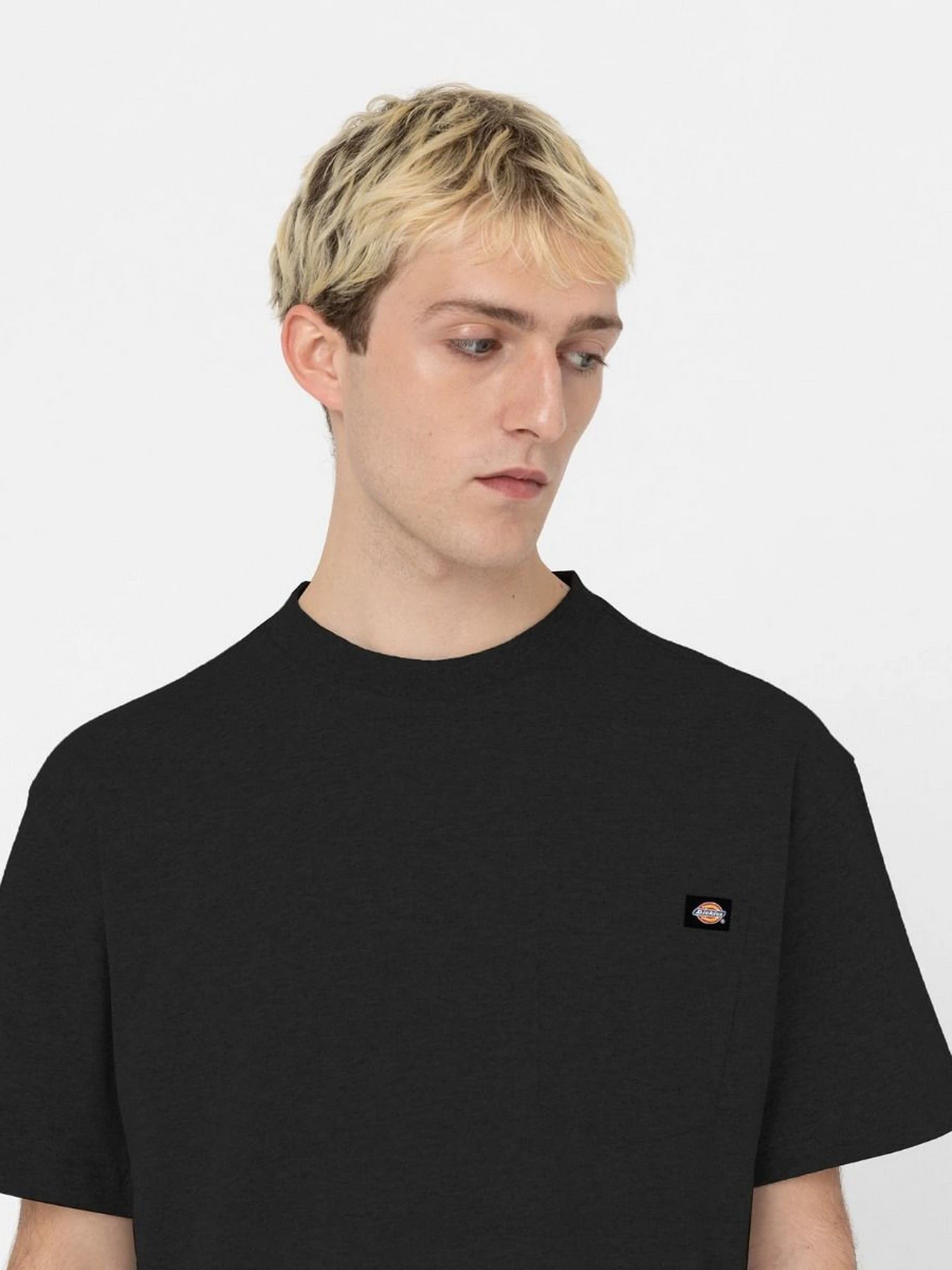 Футболки и поло Dickies Porterdale модель DK0A4TMOBLK1 Фото