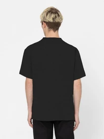 Футболки и поло Dickies Porterdale модель DK0A4TMOBLK1 Фото