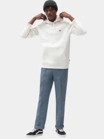 Худі та світшоти Dickies Oakport модель DK0A4XCDECR1 Фото