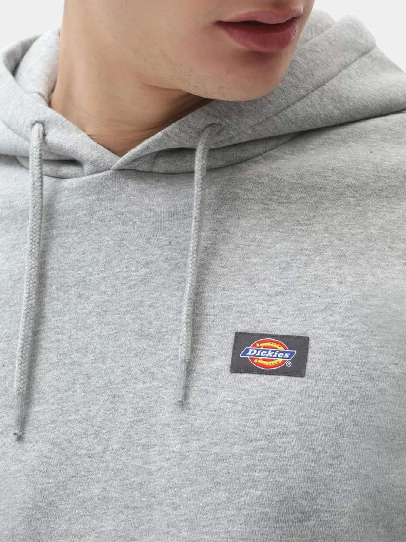Худі та світшоти Dickies Oakport модель DK0A4XCDGYM1 Фото