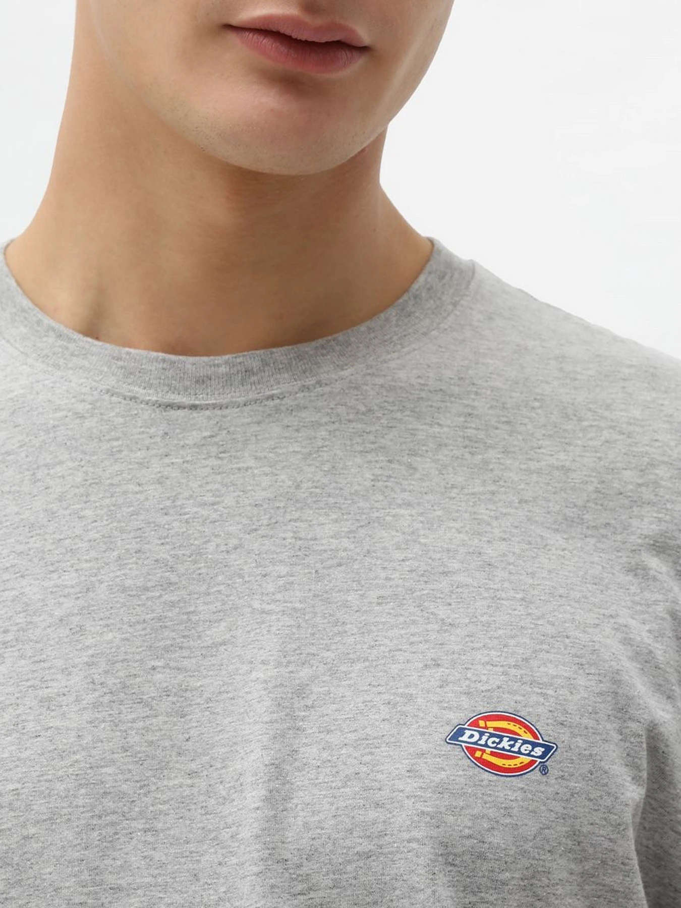 Футболки і поло Dickies SS Mapleton модель DK0A4XDBGYM1 Футболки і поло Dickies SS Mapleton модель DK0A4XDBGYM1 Фото